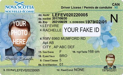 are novas fake